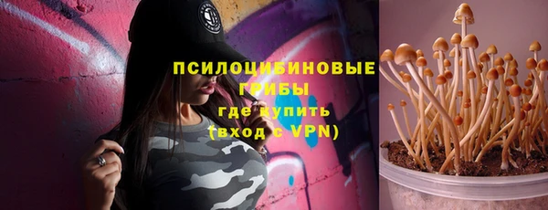 гидра Вязники