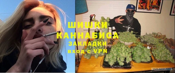 PSILOCYBIN Горно-Алтайск
