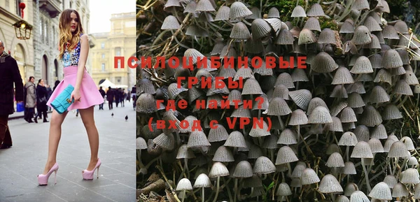 первитин Горняк