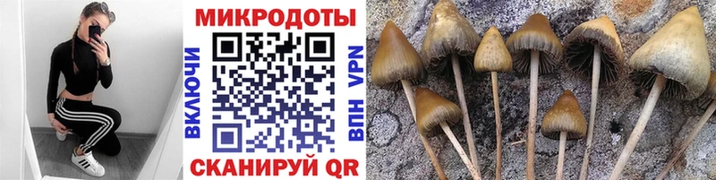 Псилоцибиновые грибы мицелий  Купить где  Новая Ляля 